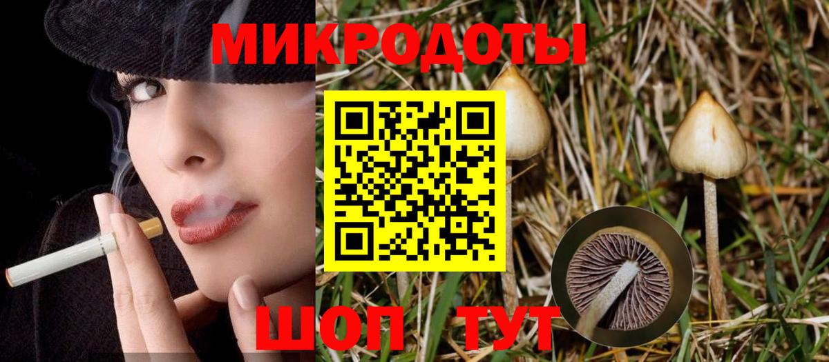 где купить наркоту  Псилоцибиновые грибы Psilocybe  Тольятти  Вход с VPN  Галлюциногенные грибы Psilocybe 